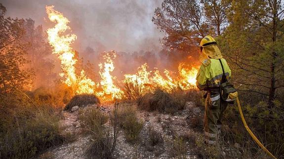 Jódar pide también un Plan de Recuperación tras el incendio de Zarcilla de Ramos