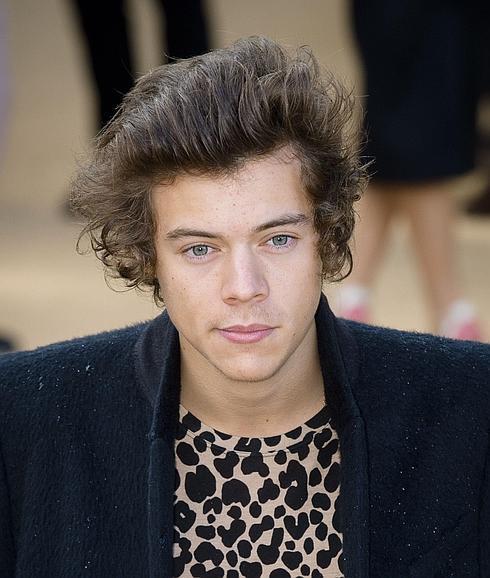 Harry Styles, de One Direction, ¿enamorado de Taylor Swift?