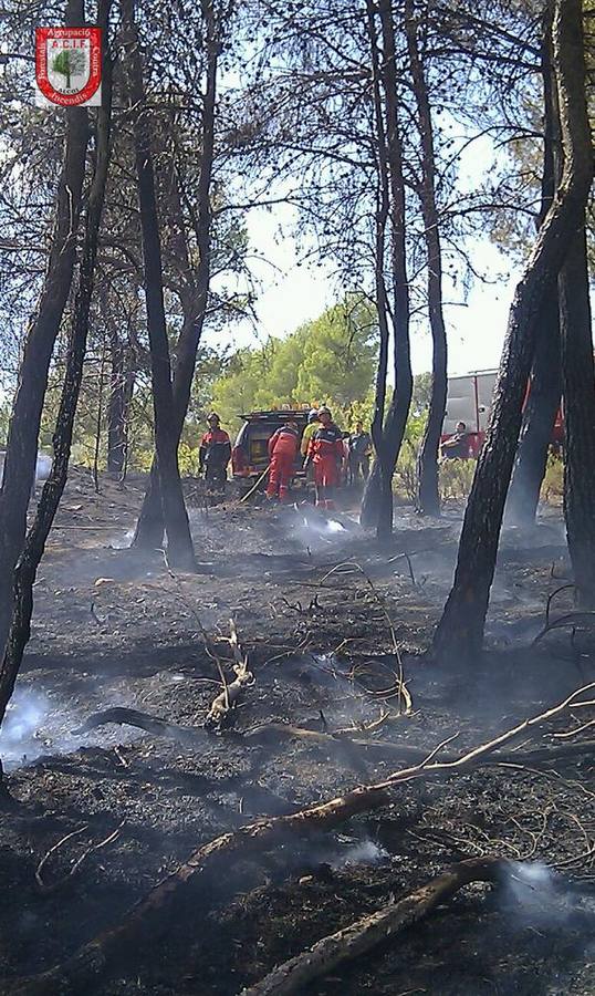 Dan por controlado el incendio forestal en Penáguila