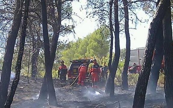 Un incendio calcina una hectárea de matorral y pinos en Penáguila