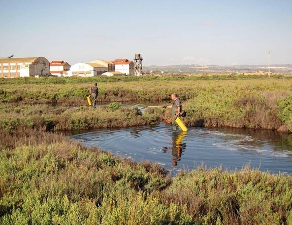 La fumigación contra mosquitos se intensifica ante la creación de posibles focos ocasionados por las lluvias