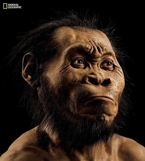 Homo naledi, el pariente desconocido del hombre moderno