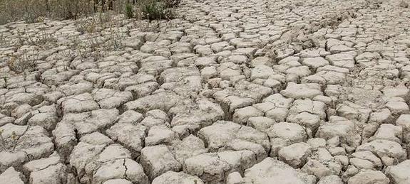 Incredulidad entre los regantes tras decir la consellera que no falta agua