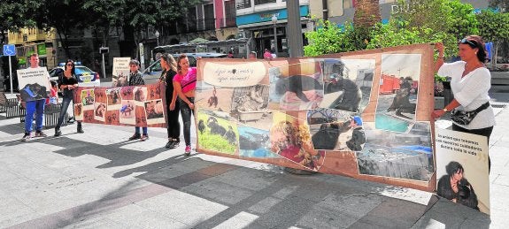 Protesta contra la prohibición de los espectáculos con animales