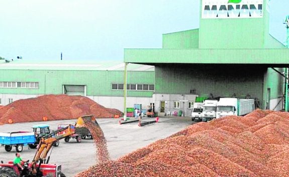 El precio de la almendra se desploma en una semana y bloquea el mercado