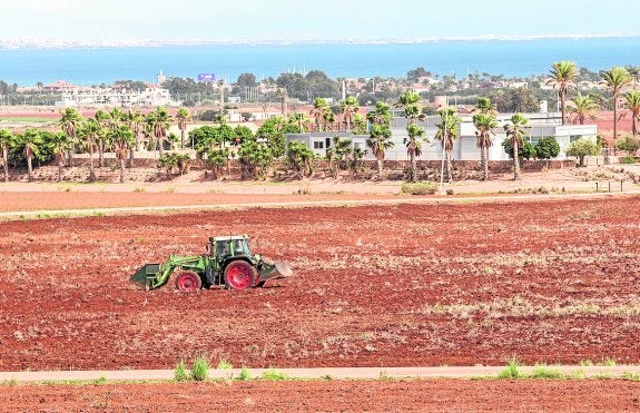 El cultivo de unos terrenos diez años después añade más dudas sobre Novo Carthago
