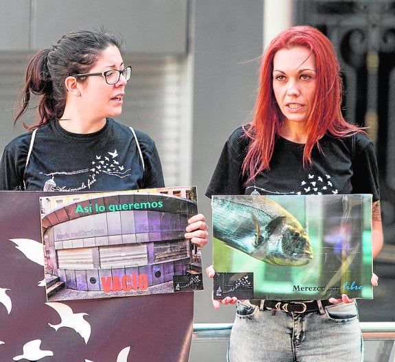 Los animalistas se concentran contra la reapertura del acuario