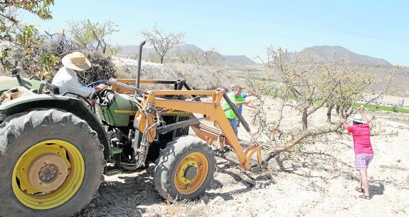Principio de acuerdo para rebajar el precio del agua desalada para riego