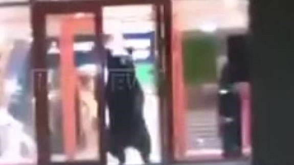 Abaten a un oso que se coló en un centro comercial de Rusia