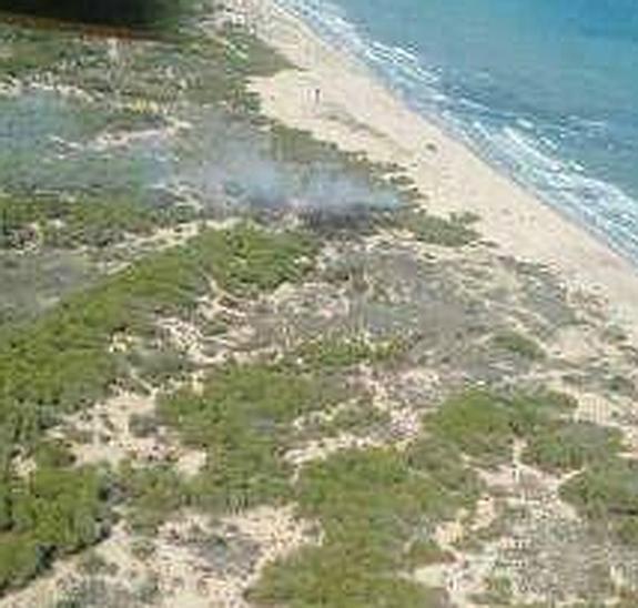 Extinguen un incendio de matorrales en una zona de playa en Guardamar