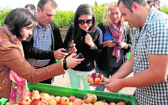 Blogueros gastronómicos de la provincia conocen la granada mollar