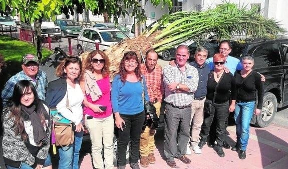 Palmera ilicitana para el museo hernandiano