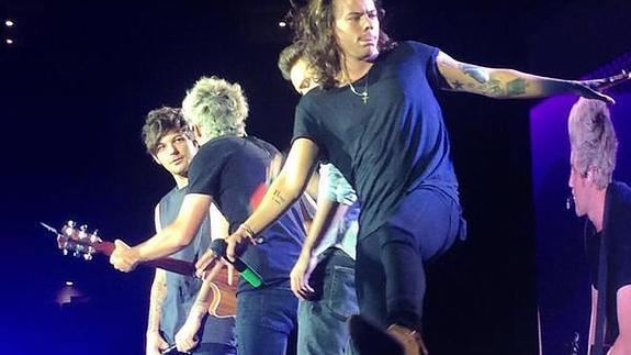 Se pierde a One Direction en concierto porque se quedó dormida