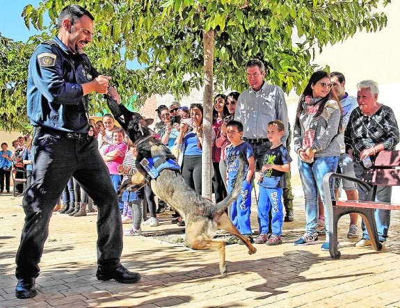 Rabasa celebra el Día del Vecino con talleres y actividades para todos