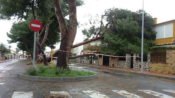 El temporal causa destrozos materiales en Torrevieja