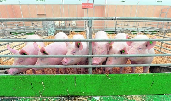 Sepor 2015, una feria bajo la lona