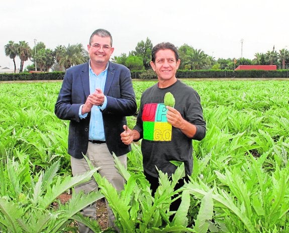 La producción de alcachofa superará las 25.000 toneladas este año