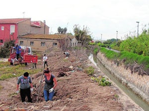 Columbares mejora los hábitats para que se recupere la especie