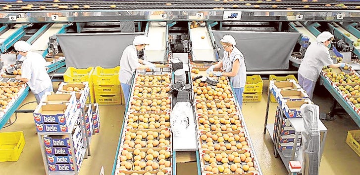 La sequía y la deslocalización reducen la exportación hortofrutícola de la provincia