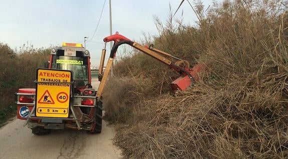 Pedanías aborda la retirada de hierbas en los arcenes de caminos tras las lluvias