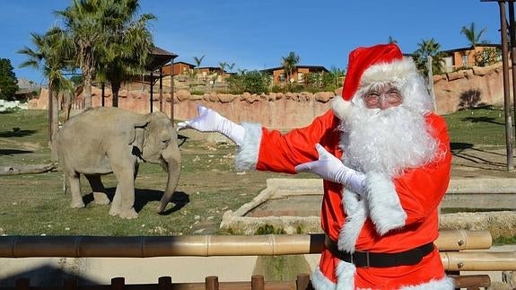 Cuentos y talleres navideños en Terra Natura