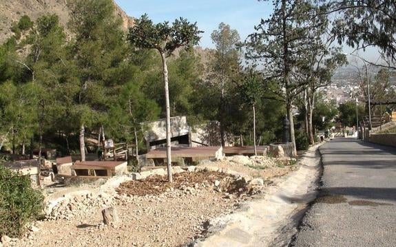 La Diputación culmina la lucha contra el barrenillo en el paraje de La Pilarica