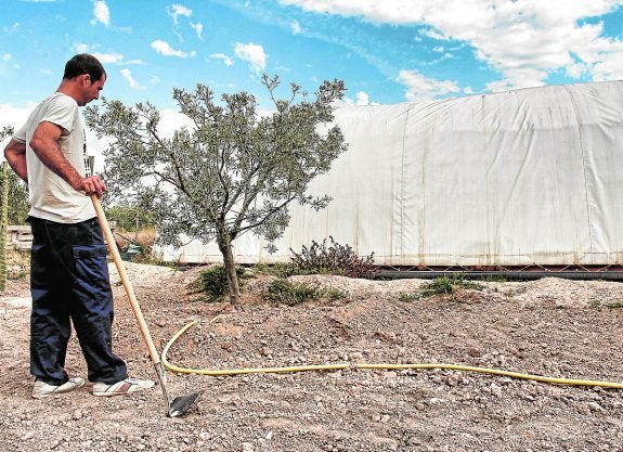 La incipiente recuperación de la agricultura peligra por la incertidumbre sobre el agua