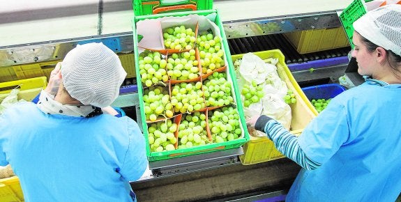 Las reinas de la Nochevieja