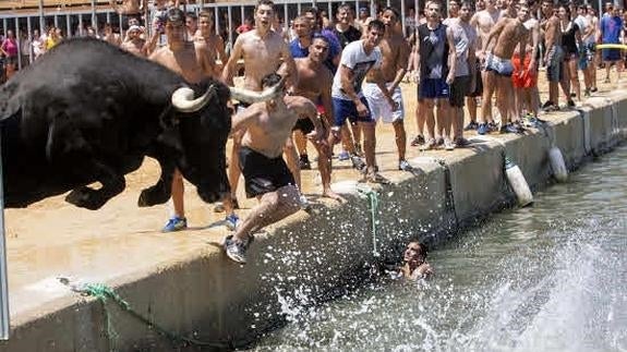 Una asociación denuncia los 'bous a la mar' de Dénia