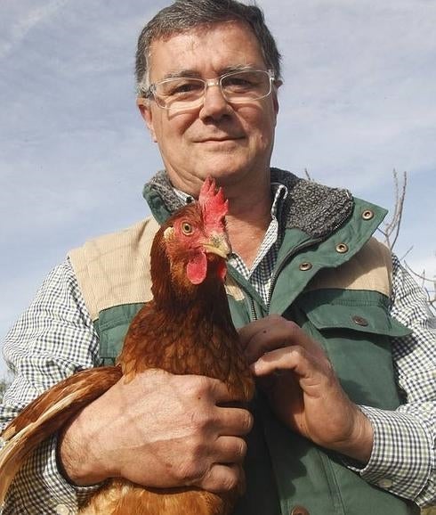 Apadrina una gallina por menos de 10 euros