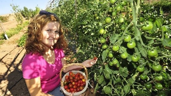 La agricultura y ganadería ecológica creció un 8 % en 2015 en la Comunitat