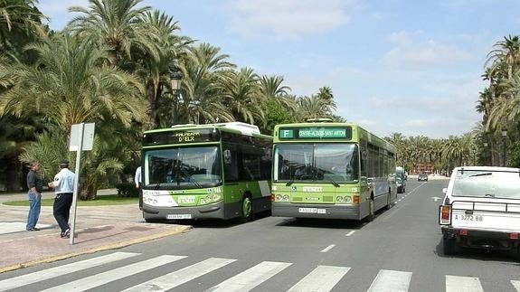 Podemos afirma que el bus urbano de Elche es el «más caro» de la Comunitat