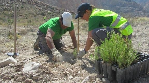 El Consistorio solicitará fondos a la UE para la restauración de la vieja cantera