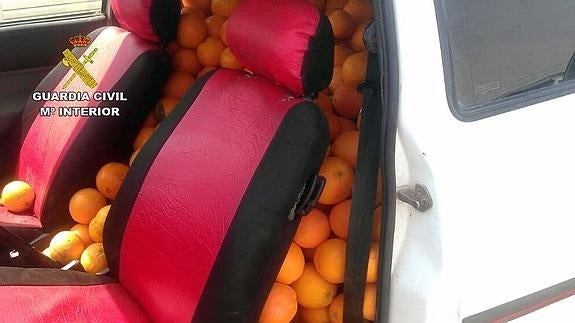 La Unió alerta de un repunte de robos de naranjas en las últimas semanas