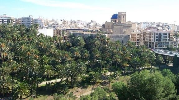 Elche prepara un plan para «rentabilizar social y económicamente» el Palmeral