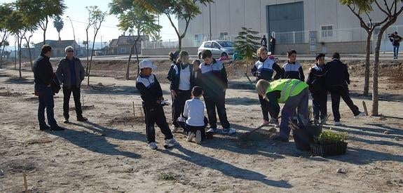 Los escolares plantan árboles en el polígono