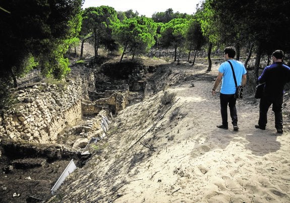El Ayuntamiento pide la declaración de Paraje Natural Municipal de la Pinada