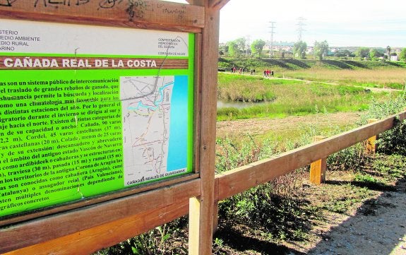 Los ecologistas exigen más inversión a la CHS para limpiar el río Segura