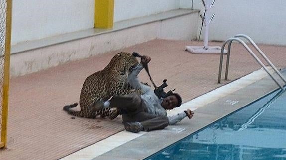 Un leopardo causa terror y angustia al colarse en un colegio de la India