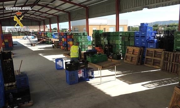 Cae una banda acusada de robar 120 toneladas de limones en la Vega Baja