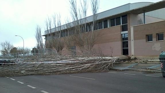 El temporal de viento causa casi 200 de incidencias en la Región