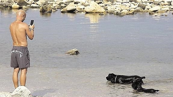 González se reunirá con los vecinos para consensuar la playa para perros