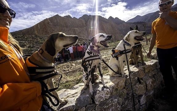 Una iniciativa itinerante conciencia en los colegios contra el maltrato animal