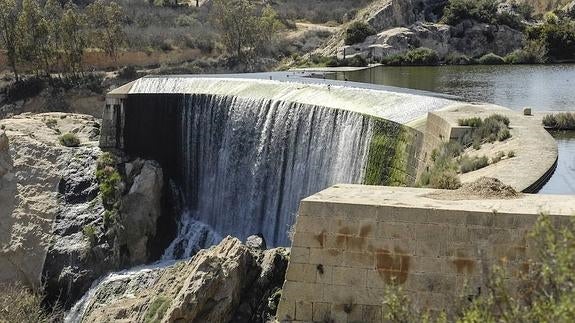 Ciudadanos pedirá el reconocimiento y protección del pantano de Elche