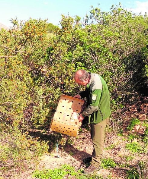 La nueva ley de agentes ambientales permitirá luchar contra los delitos