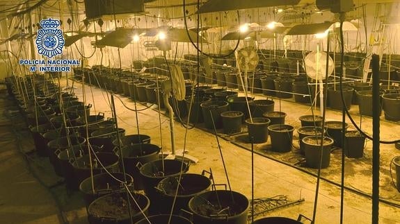 Veinticinco detenidos de una red de tráfico de drogas a gran escala