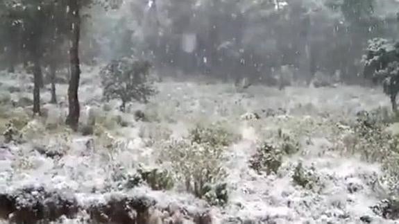 La bajada de las temperaturas deja nevadas en L'Alt de la Barcella