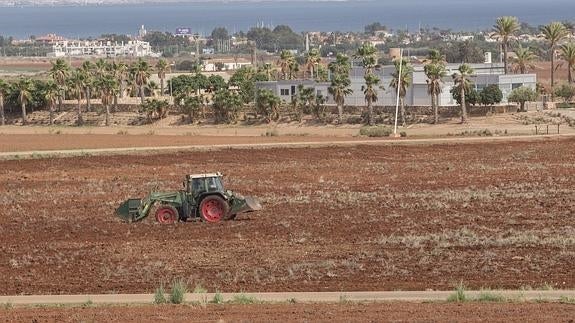 Castejón reitera que cumplirá «la normativa urbanística» en la zona de Novo Carthago