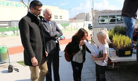 Comienza el reparto de pinos en los colegios