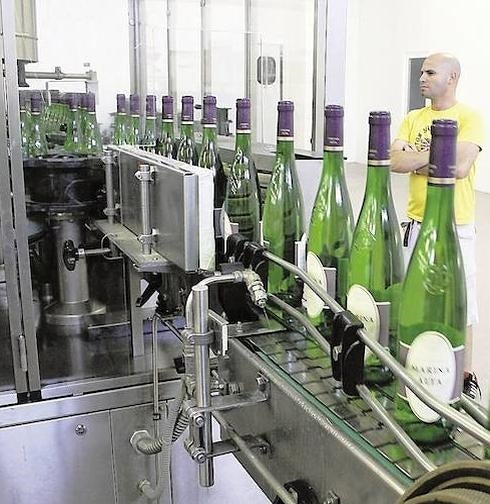 Las 40 bodegas de Alicante se lanzan a la conquista del mercado de China